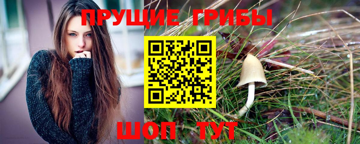 Галлюциногенные грибы Magic Shrooms Сочи