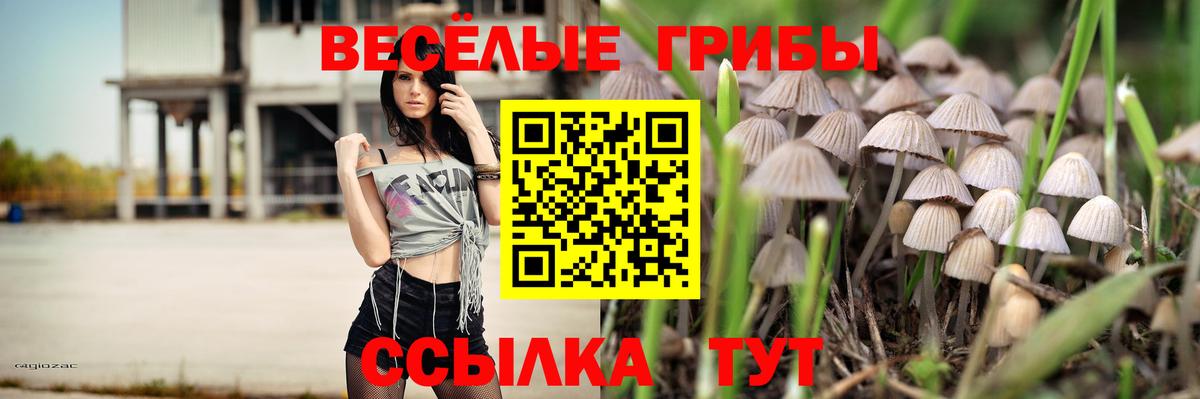Сочи  Псилоцибиновые грибы GOLDEN TEACHER  Псилоцибиновые грибы Psilocybe  как найти   Вход с VPN 